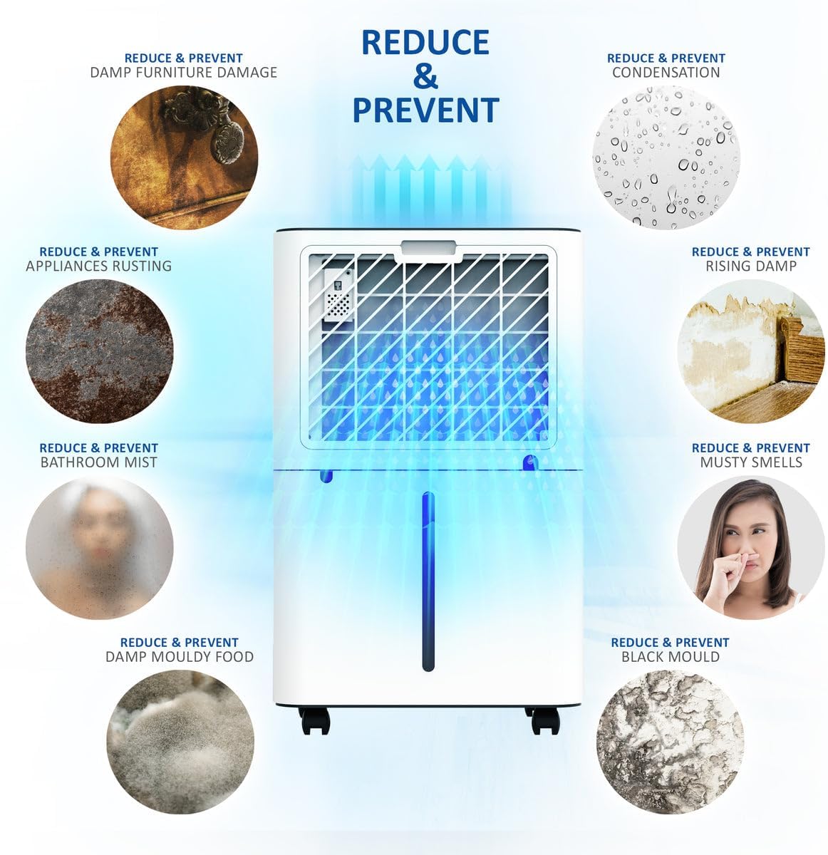 NETTA 20L/Day Low Energy Dehumidifier - Digital Control Panel, Air Filter,Continuous Drainage, Auto Restart, Timer, 4.5L Water Tank, Child Lock - Damp, Mould Control, Laundry Drying, 345W, R290