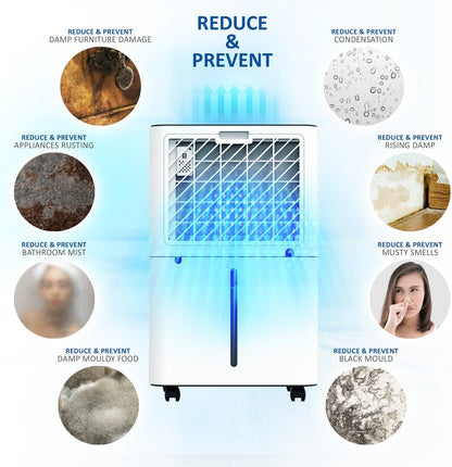 NETTA 20L/Day Low Energy Dehumidifier - Digital Control Panel, Air Filter,Continuous Drainage, Auto Restart, Timer, 4.5L Water Tank, Child Lock - Damp, Mould Control, Laundry Drying, 345W, R290
